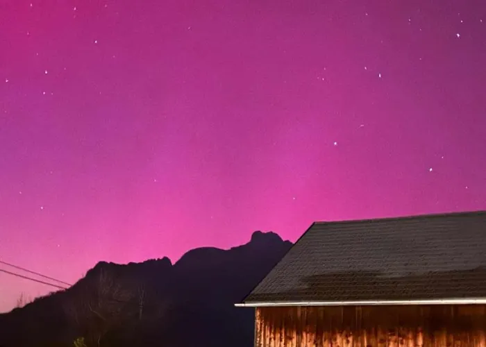 アパート Lechapart Wagner ロイテ